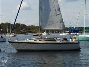 O'day 28