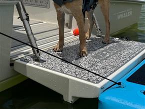 Boston Whaler 270 Dauntless