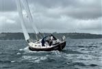 Rustler 37