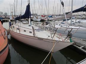 CONTESSA 32