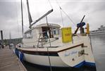 Westerly Konsort Duo 29