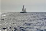 Beneteau Sense 55