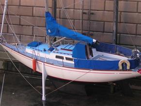 Buchanan 32