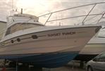 Princess 330 Flybridge Cruiser - Hull