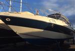 Cranchi Endurance 41