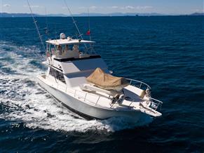 Viking 53
