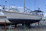 Catalina 34 TR WK