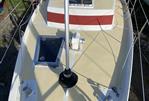 Skua 36