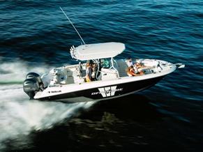 Wellcraft 262 Fisherman