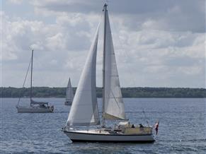 D.P. Doug Peterson 31