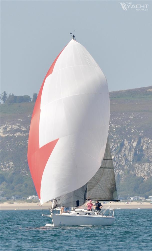 J-Boats Tillotson Pearson (USA) J/105