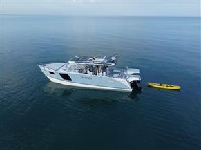 YachtCat 41