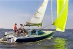 Pointer 22
