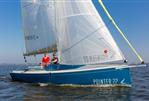 Pointer 22
