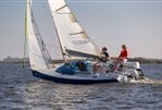 Pointer 22