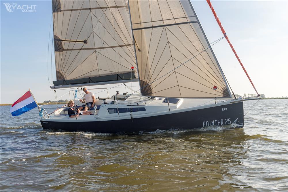 Pointer 25