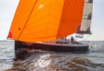 Pointer 25