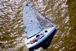 Pointer 25