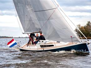Pointer 30