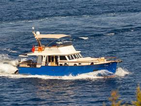 Custom Cabin Cruiser
