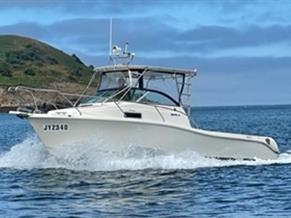 Marin Craft Marlin 29