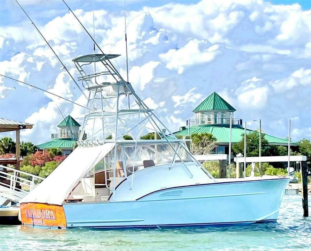 Custom Carolina Warren O&#39;Neal 2015 renovation - Profile 