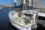 Westerly Tiger