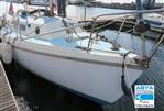Westerly Tiger