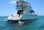 Sea Ray 560 Sedan Bridge