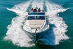 Rodman Muse 44