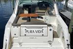 Sea Ray 310 Sundancer