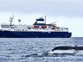 Cruise Ship -240 Passenger - Ice Classed Expedition - Stock No. S2396