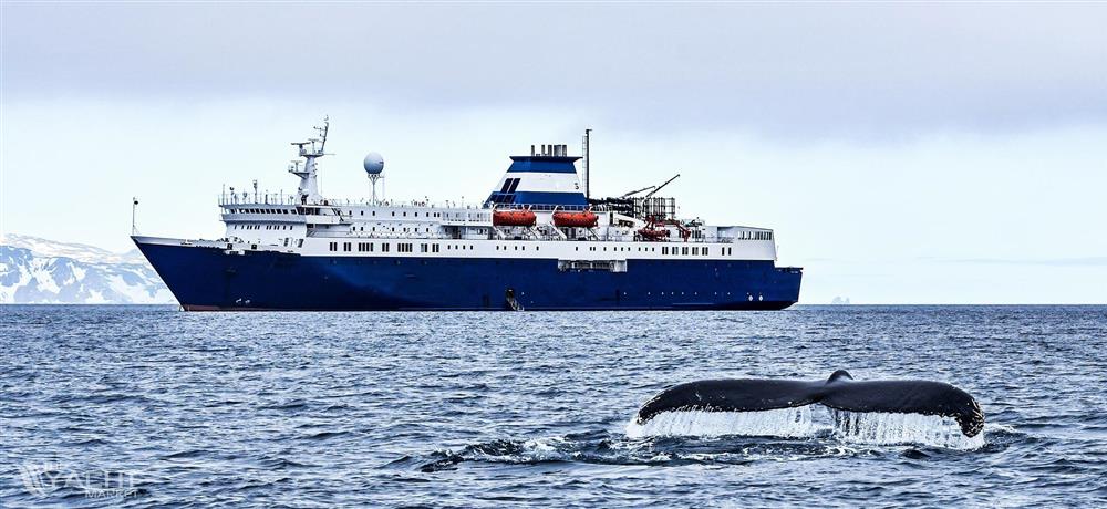 Cruise Ship -240 Passenger - Ice Classed Expedition - Stock No. S2396