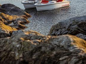 Nimbus Tender 8 / T8