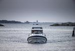 Paragon 31 Flybridge