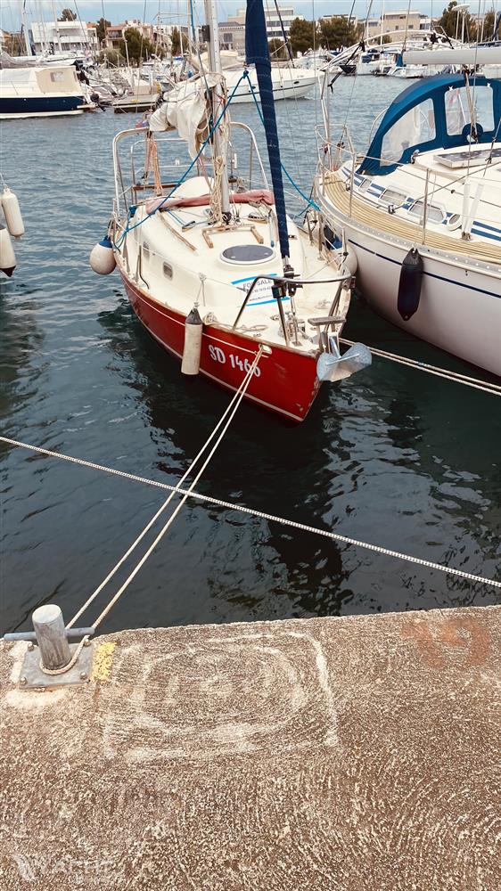 CONTESSA 26