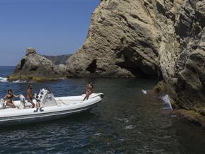 Joker Clubman 26