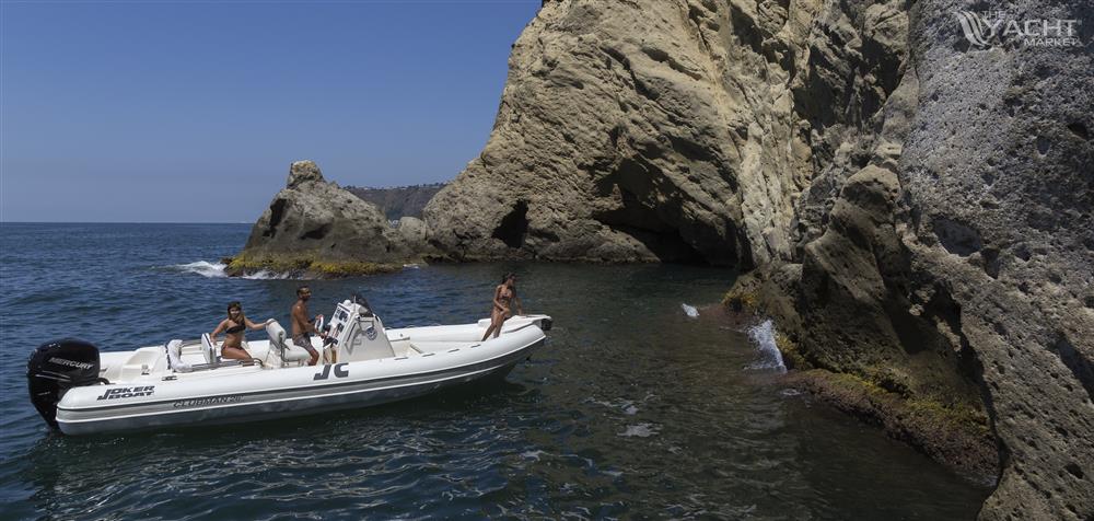 Joker Clubman 26