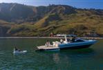 Anvera 42S 