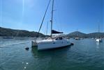 Leopard 40