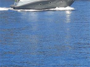 Viper 303