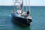 BLONDECELL, FREEWARD MARINE Simon Rogers Cutter Rigged One Design - simon-rogers-cutter-rigged-one-design-song-of-the-whale-2