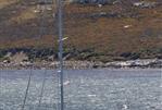 BLONDECELL, FREEWARD MARINE Simon Rogers Cutter Rigged One Design - simon-rogers-cutter-rigged-one-design-song-of-the-whale-6