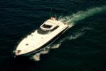 Sunseeker Predator 60