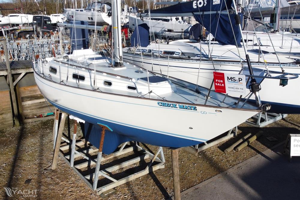 Contessa 32