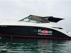 Sea Ray Sundancer 320 DAOE