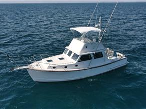 Wilbur 38