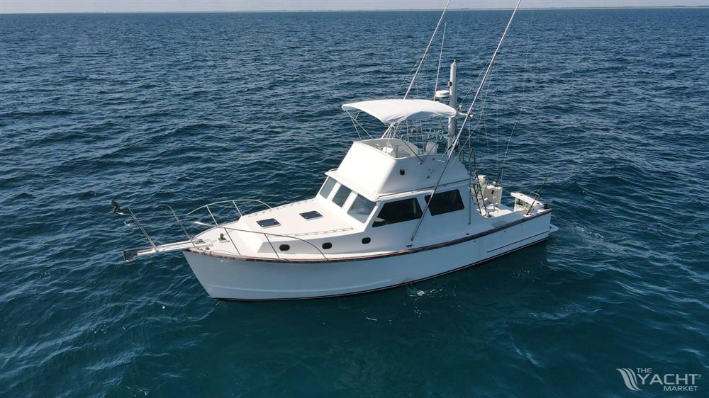 Wilbur 38