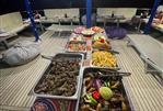 CUSTOMIZED DIVE Rashed DIVE BOAT