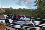 Cougar 21